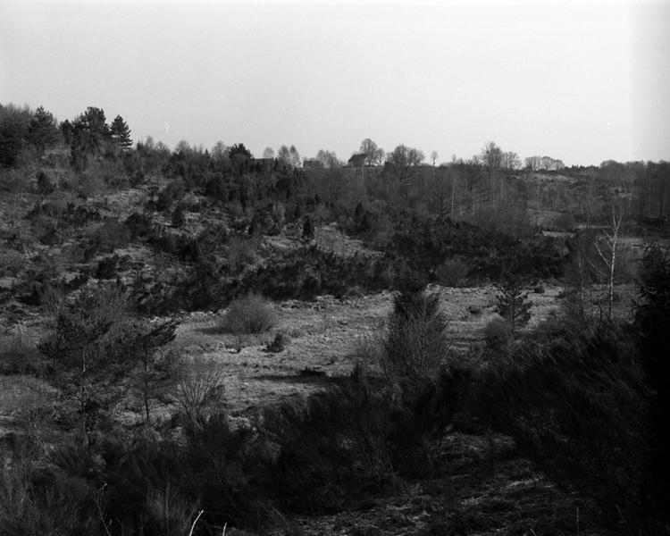 Tourbière vers Esplanchat. Ces terrains sont communaux et une lande à genêts, précédant le retour de la forêt, témoigne de l'abandon de ces terres.