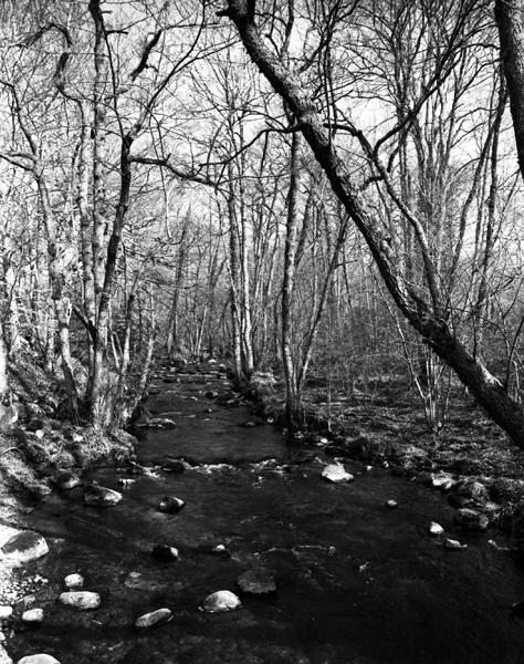 Secteur ouest de Cros : vallée de la Tialle