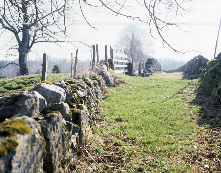Chemin creux bordé de murs vers Serry