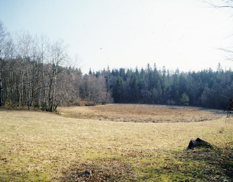Tourbière de Serry : la transformation en prairie est en phase d'achèvement.