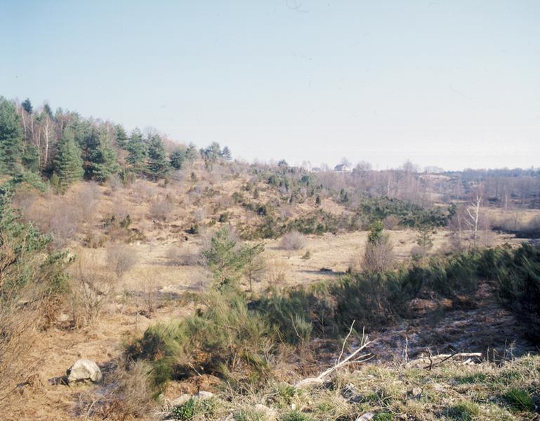 Secteur sud de Cros : les fonds de vallée sont occupés par des tourbières.