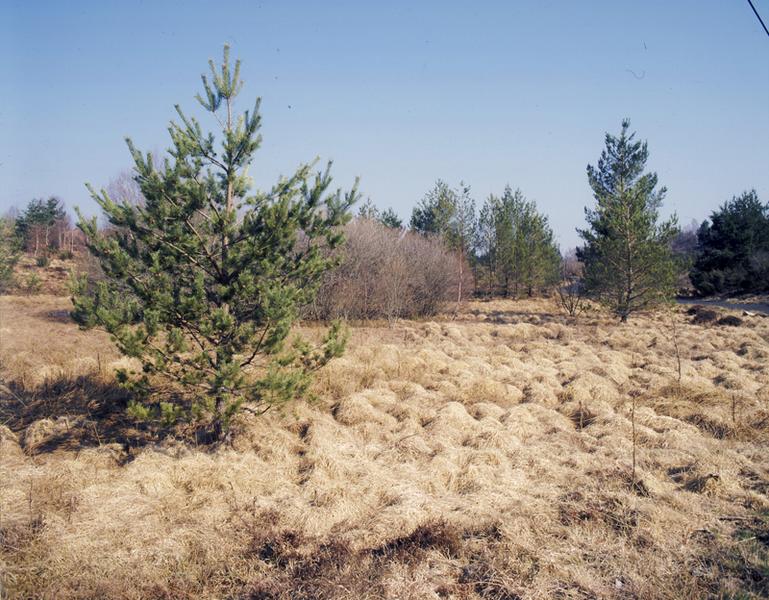 Secteur sud de Cros : les fonds de vallée sont occupés par des tourbières.