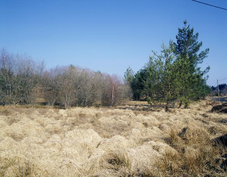 Secteur sud de Cros : les fonds de vallée sont occupés par des tourbières.