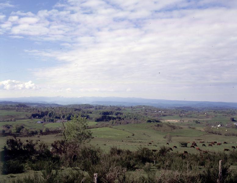 Paysage pris vers le sud-ouest. A l'horizon, le plateau du Puy de Bort qui domine Bort-les-Orgues.