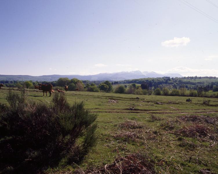 Vue du massif du Sancy à l'est, depuis Hautessere