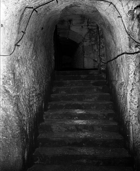 Fromageries Roussel de Laqueuille : vue de l'escalier d'accès aux galeries des caves.