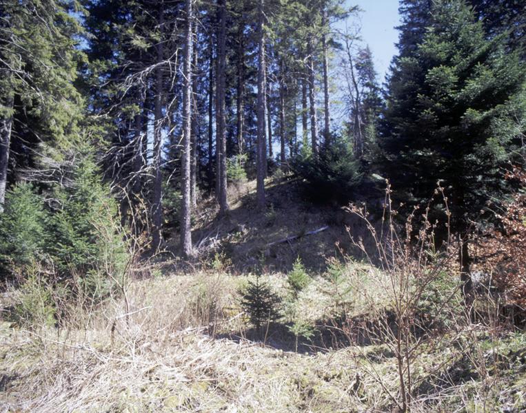Vue des vestiges de motte de l'ancien château de Servières, à proximité du lac.