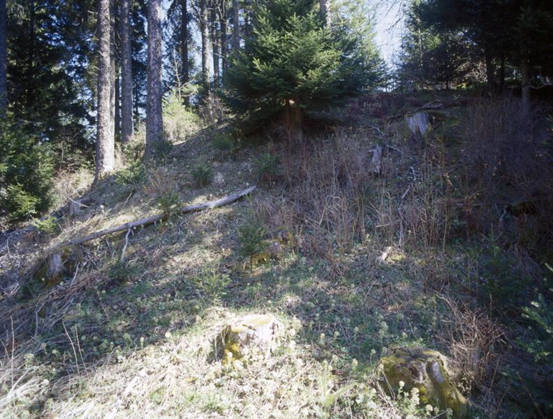 Vue des vestiges de motte de l'ancien château de Servières
