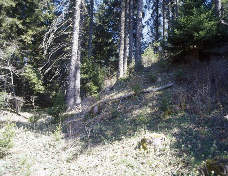 Vue des vestiges de motte de l'ancien château de Servières
