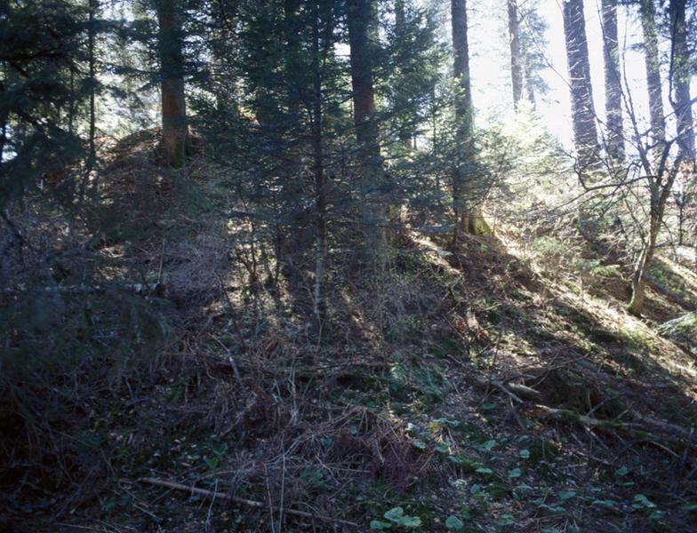 Vue des vestiges de motte de l'ancien château de Servières
