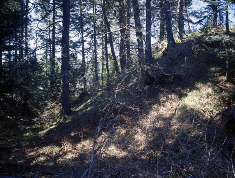 Vue des vestiges de motte et de fossés de l'ancien château de Servières.