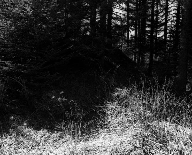 Vue des vestiges de motte de l'ancien château de Servières