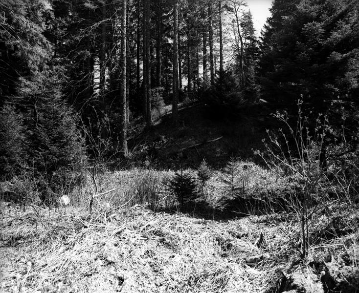 Vue des vestiges de motte de l'ancien château de Servières, à proximité du lac.