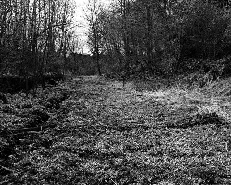 Vue des vestiges d'enceinte et de fossés (?) de l'ancien château de Vernines.