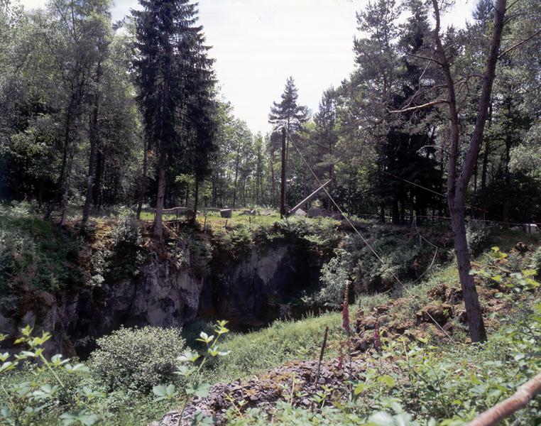 Vue partielle du site de l'ancienne carrière d'andésite du Bois des Amontées.