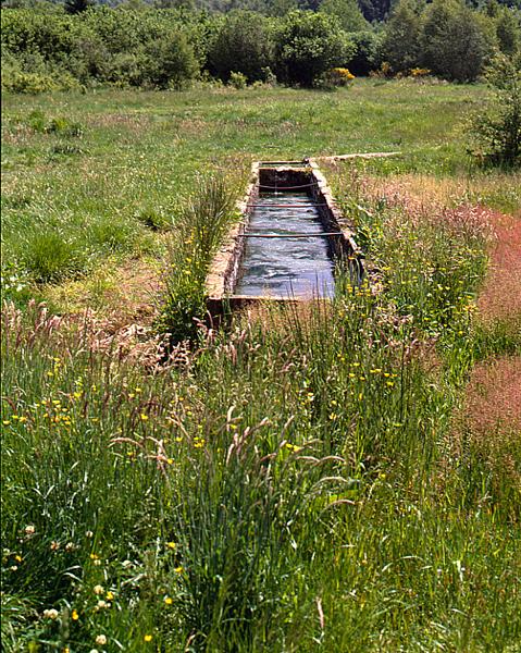 Vue générale d'une fontaine-abreuvoir (Bac de Montmeyre, Ceyssat)