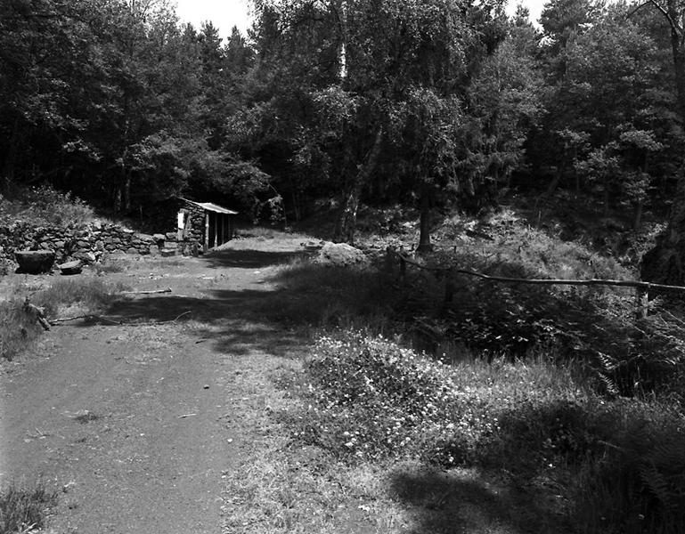 Vue du site de l'ancienne carrière d'andésite du Bois des Amontées
