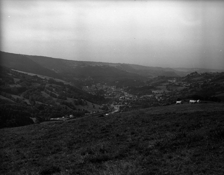 La ville de La Bourboule vue de l'est, depuis la ferme des Courts, au sud du Puy-Gros (commune du Mont-Dore).