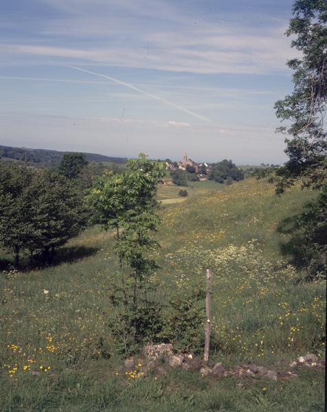 Le village de Chastreix vu de l'est depuis le Mont