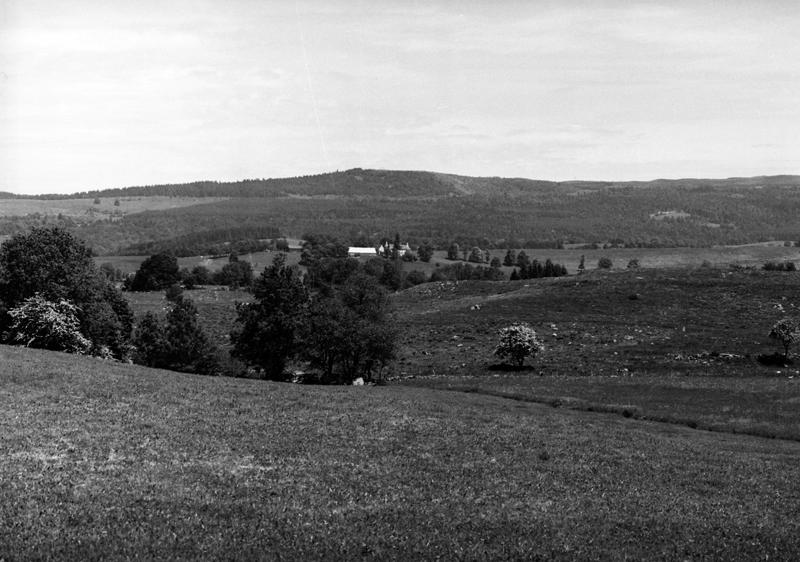 Vue du paysage de pâtures et de forêts de résineux vers le nord-est, depuis le hameau du Buisson. Au fond la montagne de Chambourguet, sur la commune de La Tour d'Auvergne.