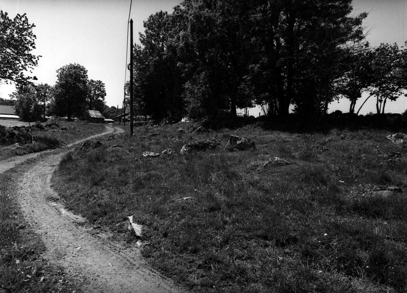 Chemin de terre reliant les deux hameaux du Buisson. Les terrains bordés de murets de pierre sèche, sont sectionnaux.