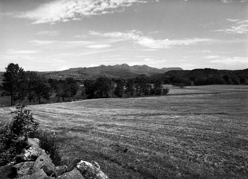 Vue du Sancy depuis le hameau du Buisson