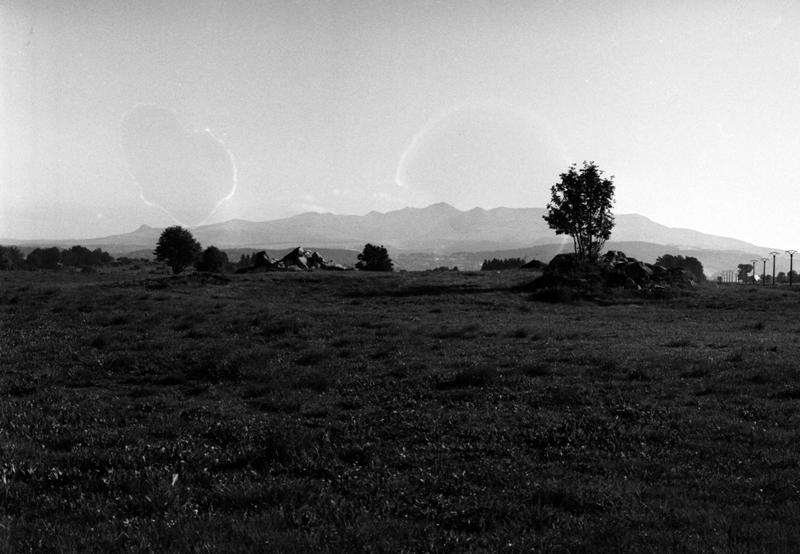 Le plateau granitique à l'est du village, en direction du massif du Sancy, vu depuis la ferme de Probat. Les blocs accumulés proviennent de l'épierrement actuel des prairies, après remembrement, en vue d'une exploitation mécanisée du fourrage.