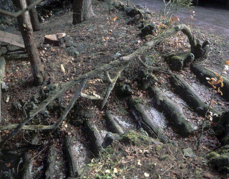 La Bourboule : vue d'un escalier de jardin en rocaille de ciment