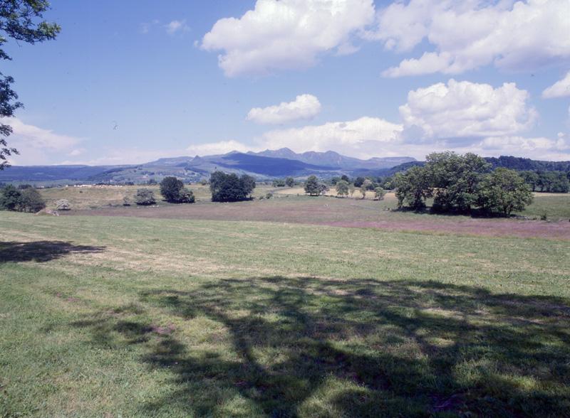 Vue du paysage de pâtures et de forêts de résineux vers le nord-est, depuis le hameau du Buisson. Au fond la montagne de Chambourguet, sur la commune de La Tour d'Auvergne.
