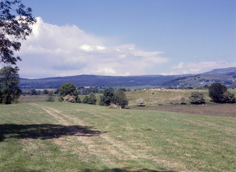 Vue du paysage de pâtures et de forêts de résineux vers le nord-est, depuis le hameau du Buisson. Au fond la montagne de Chambourguet, sur la commune de La Tour d'Auvergne.