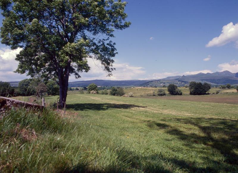 Vue du paysage de pâtures et de forêts de résineux vers le nord-est, depuis le hameau du Buisson. Au fond la montagne de Chambourguet, sur la commune de La Tour d'Auvergne.