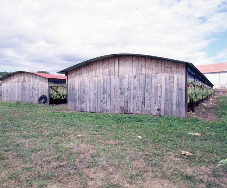 Séchoirs à tabac