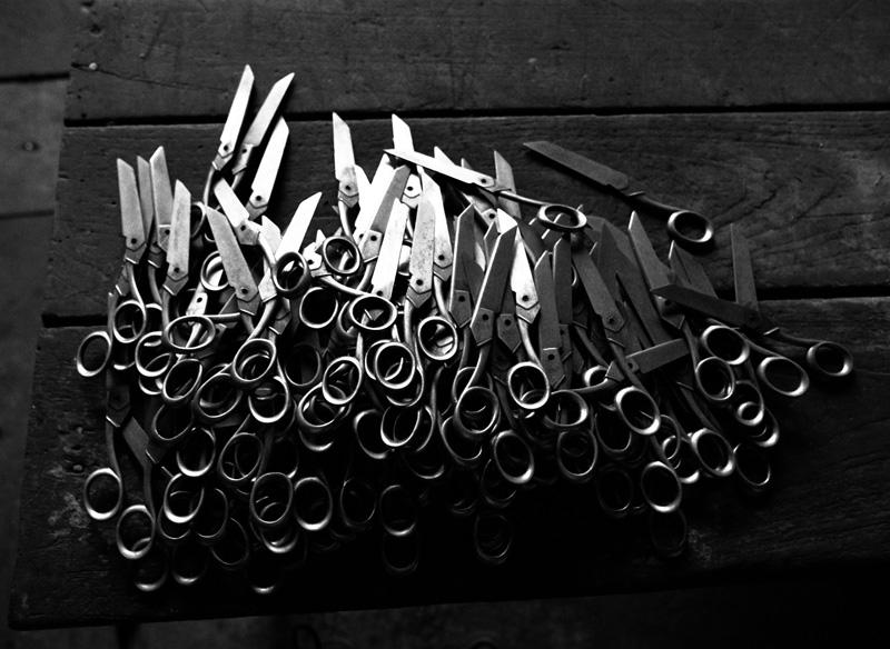 Branches de ciseaux