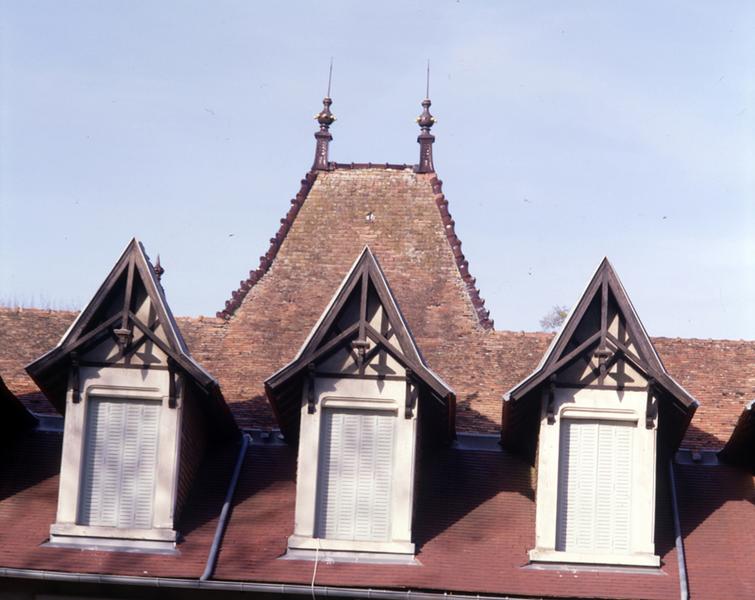Château, vue de détail des lucarnes en façade postérieure