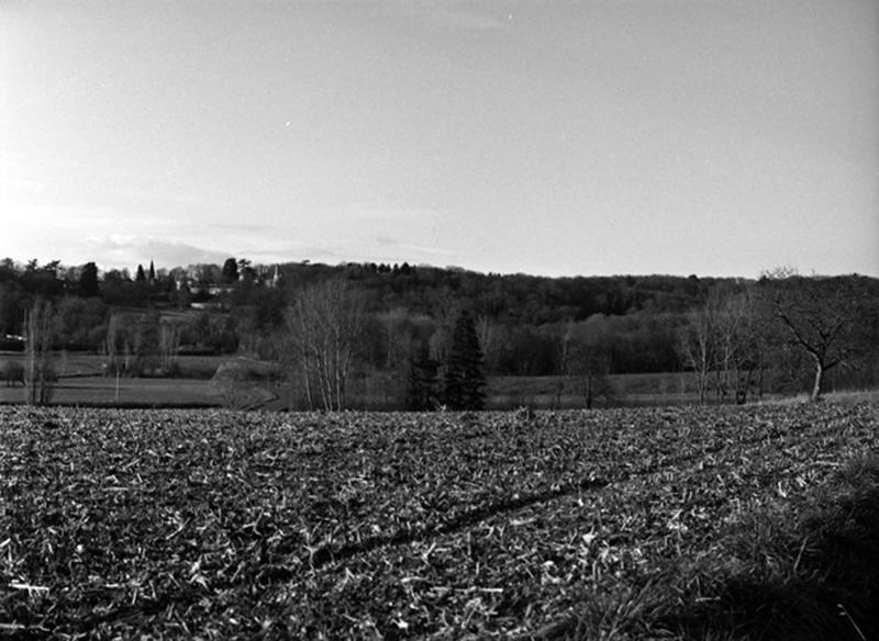 La forêt et le domaine de Randan