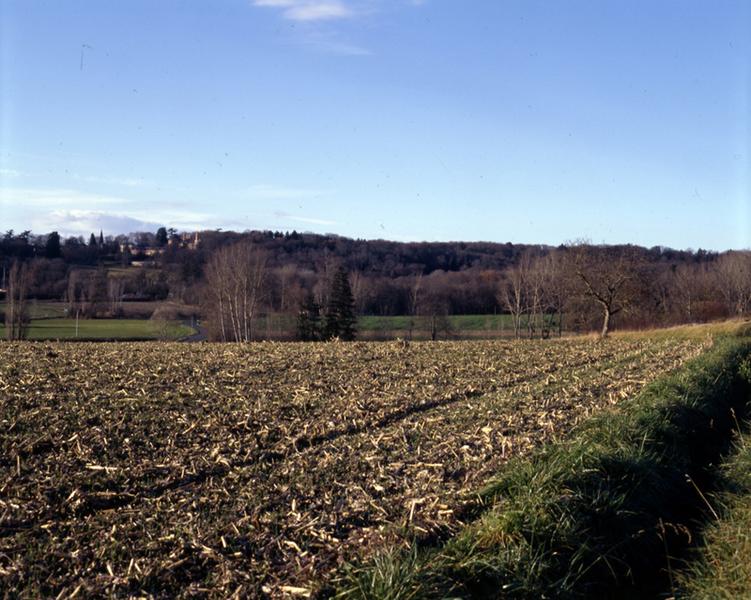 La forêt et le domaine de Randan