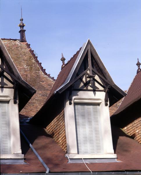 Château, vue de détail d'un épis de faîtage sur le toit en pavillon du corps principal du logis.