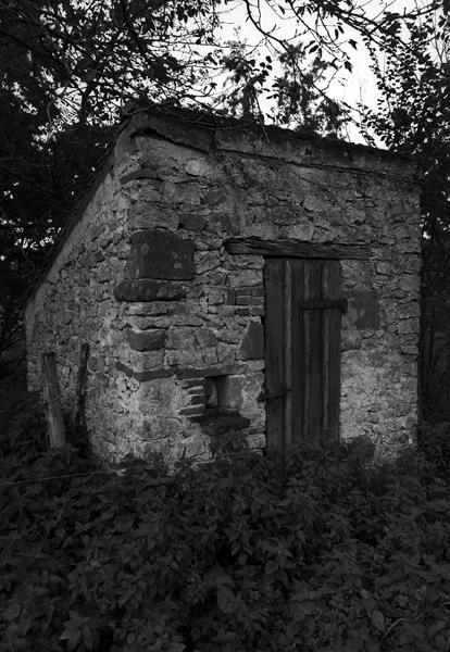 Vue générale du poulailler du moulin Roussat