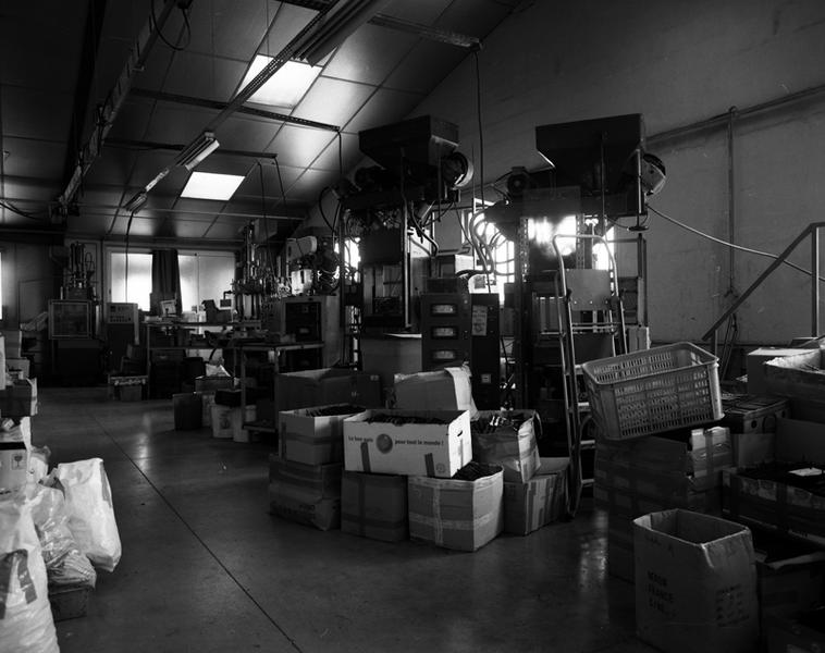 Vue d'ensemble des presses à injection verticales pour mouler les manches de couteaux en plastique.