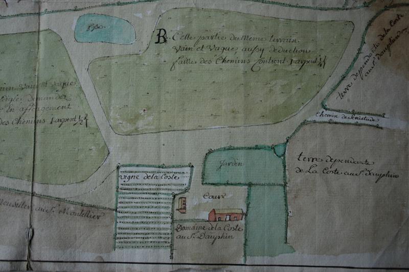 Plans des terres et du domaine de la Côte