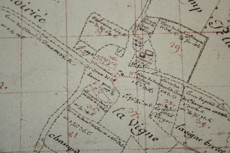 Plan des terres et du domaine de Joux