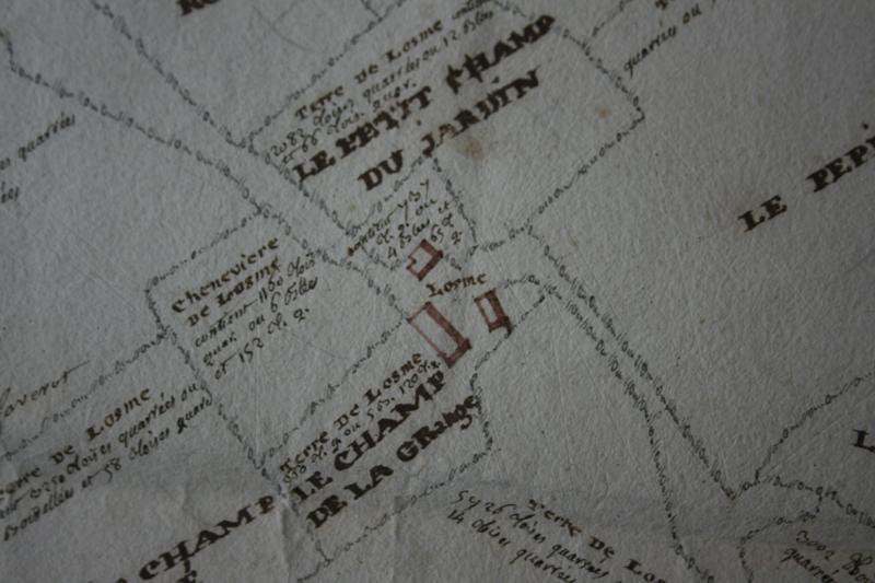 Plan des terres et du Grand domaine de Losme