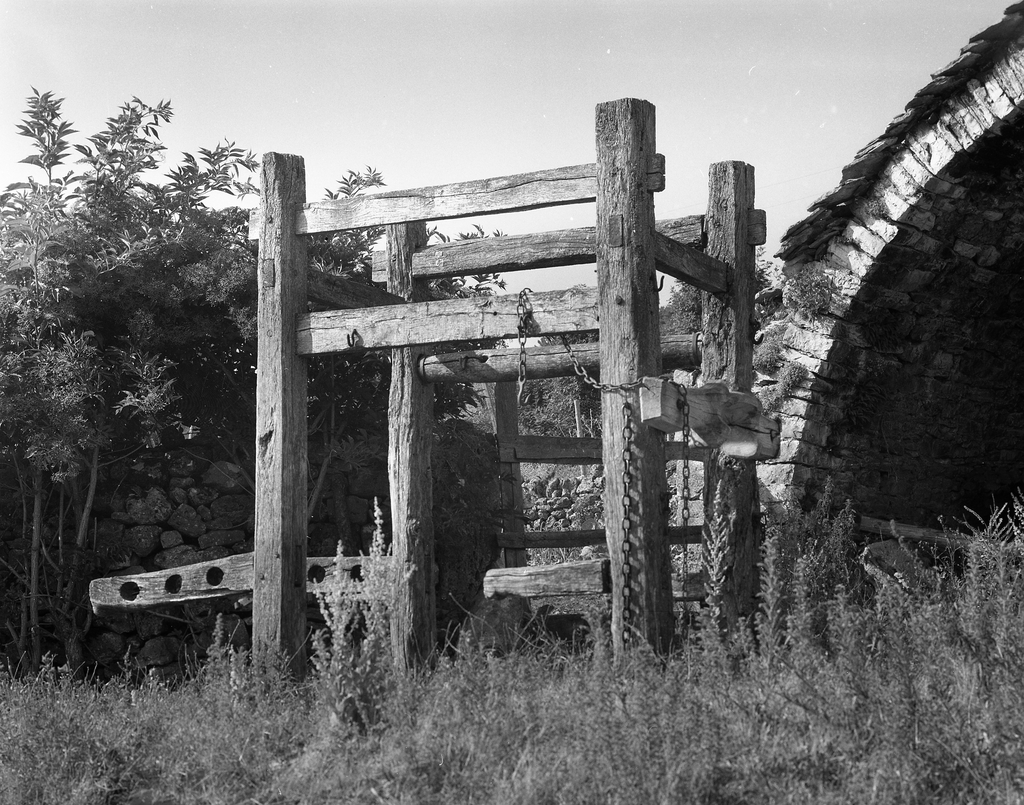 Travail à ferrer les boeufs devant le four commun du hameau de Longviala (commune de La Tieule)