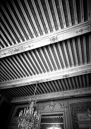 Grand salon premier étage, détail du plafond.