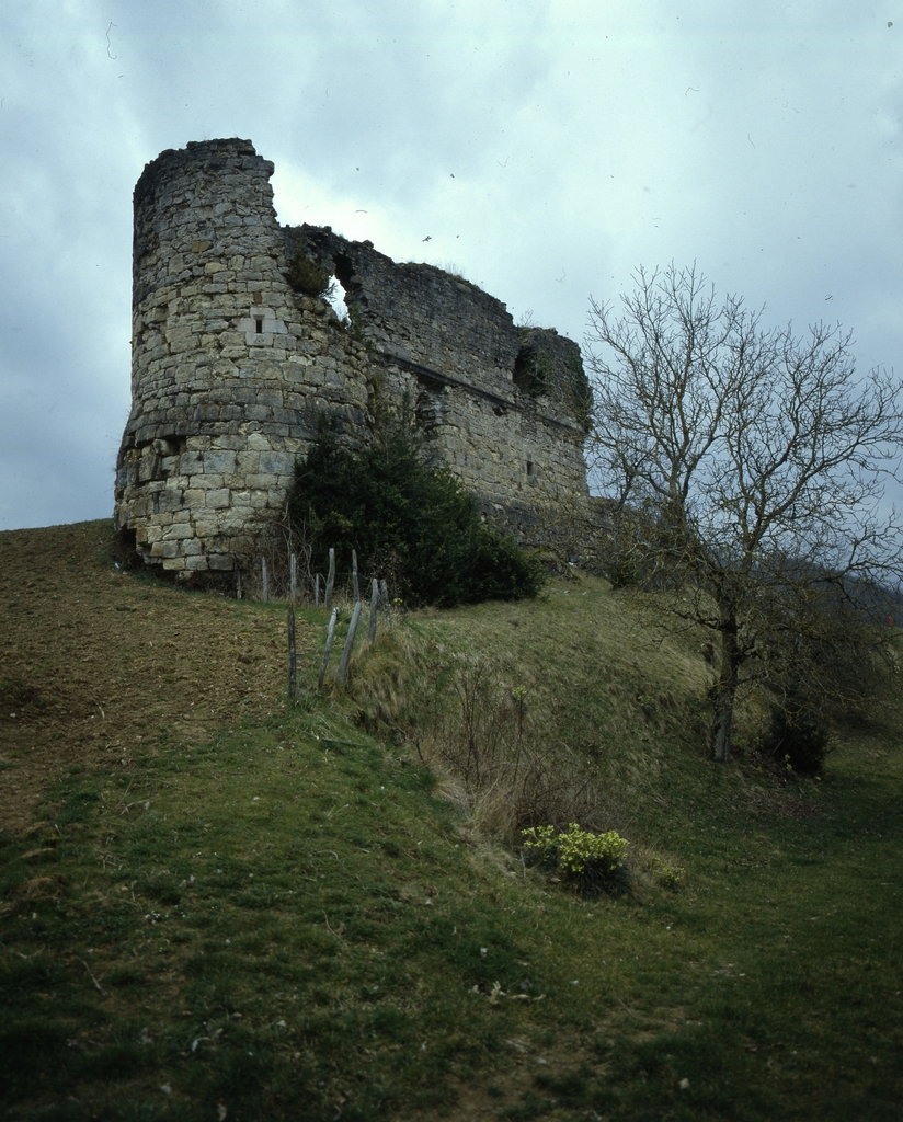 Tour nord-est et courtine nord
