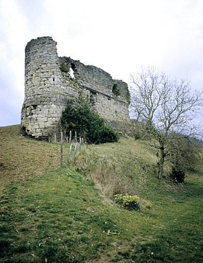 Tour nord-est et courtine nord