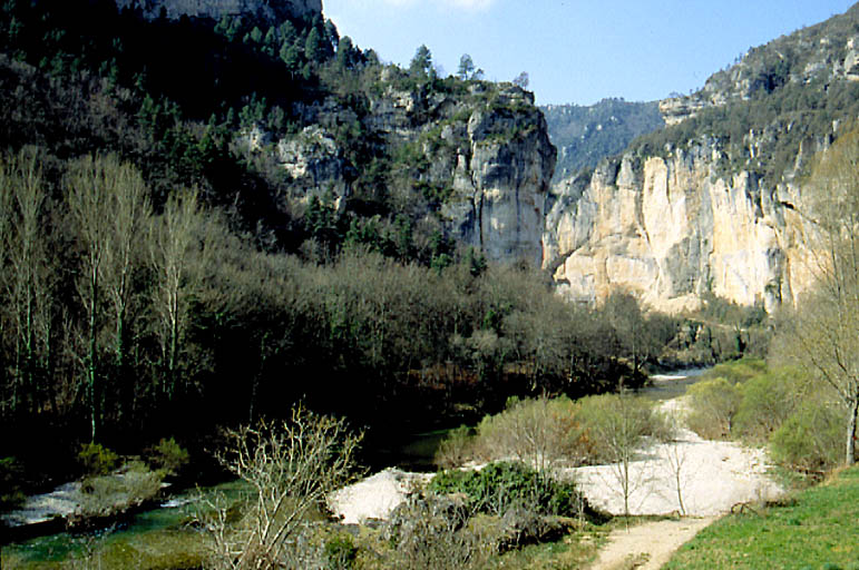 Les gorges du Tarn