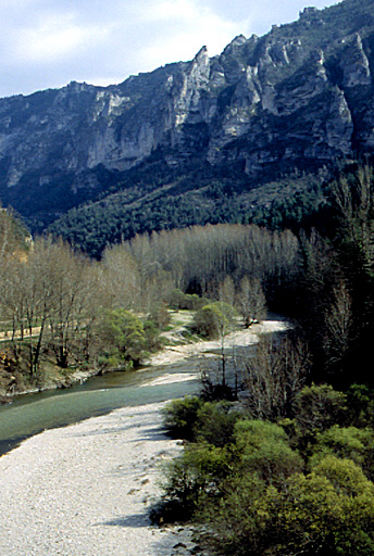Les gorges du Tarn