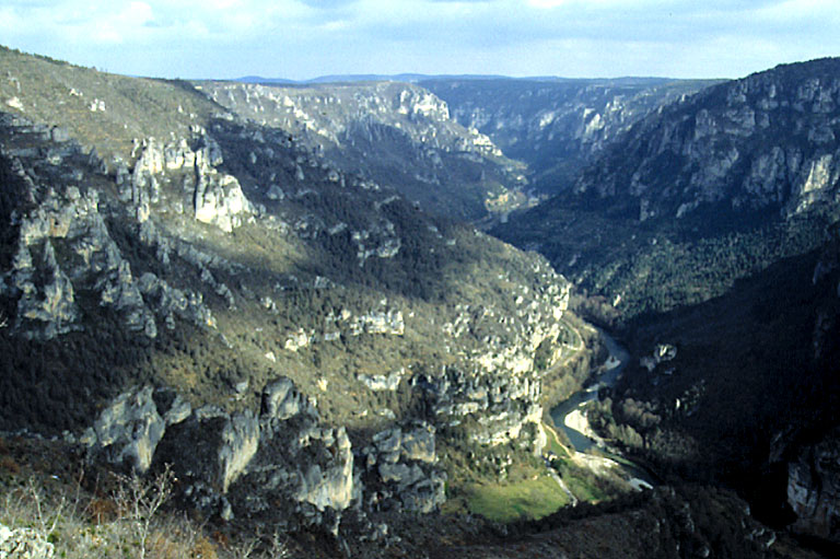 Vue des gorges du Tarn depuis le point sublime, en direction du nord