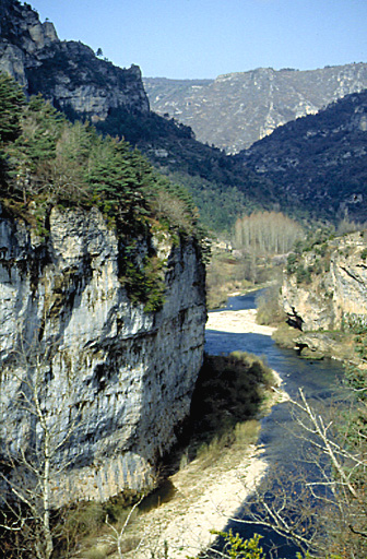 Les gorges du Tarn